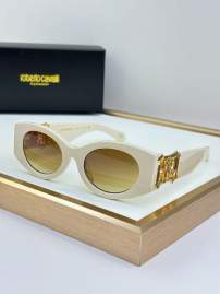 Picture of Roberto Cavalli Sunglasses _SKUfw75013237fw